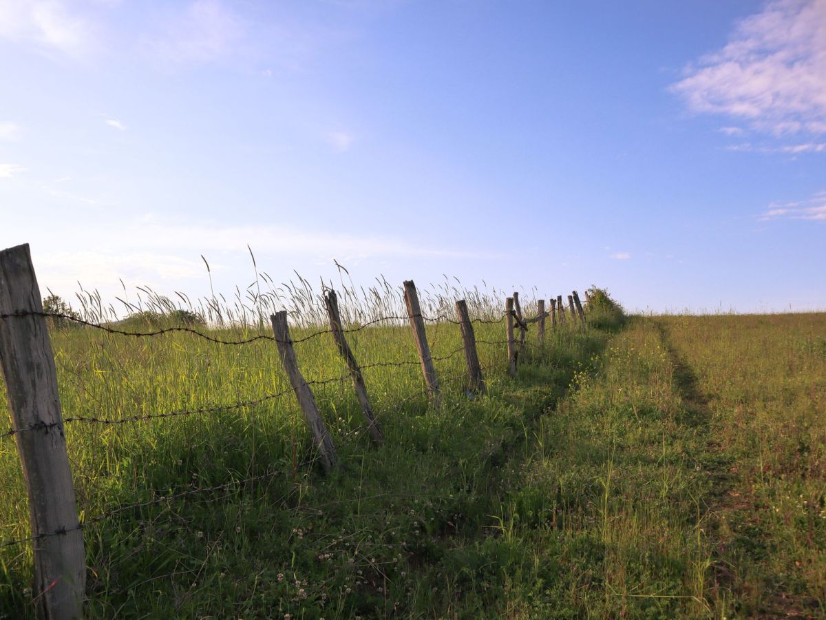 The Row By The&nbsp;Fence