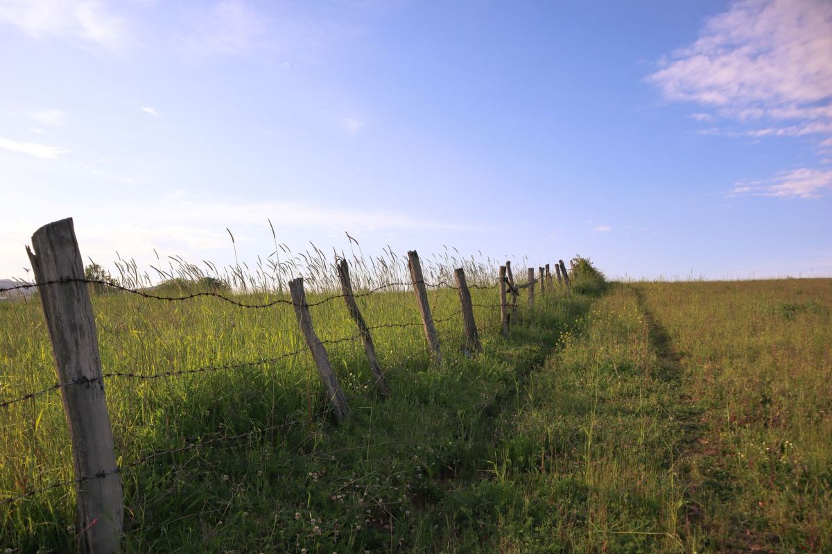 The Row By The&nbsp;Fence